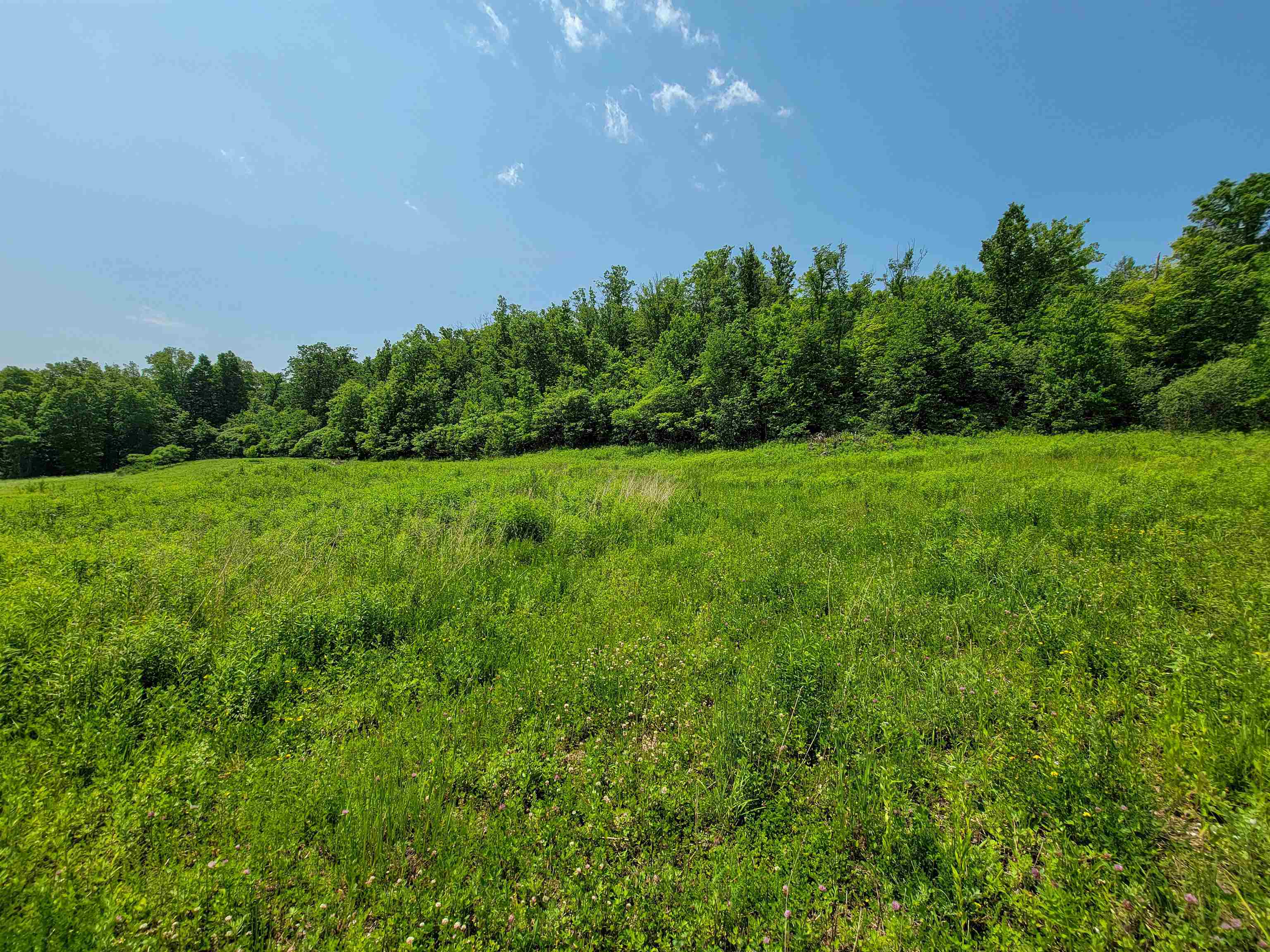21 Nickerson Road Brandon, VT 05733 - Photo 19 of 58