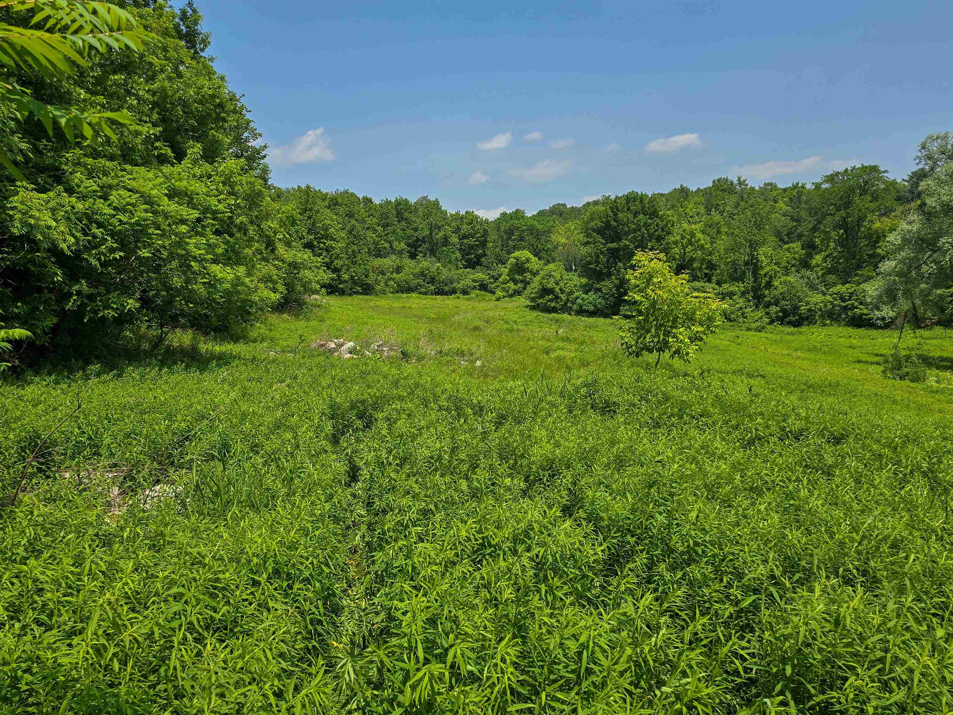 21 Nickerson Road Brandon, VT 05733 - Photo 22 of 58