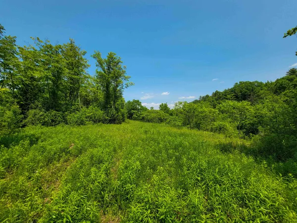 $875,000 | 21 Nickerson Road, Brandon, VT 05733