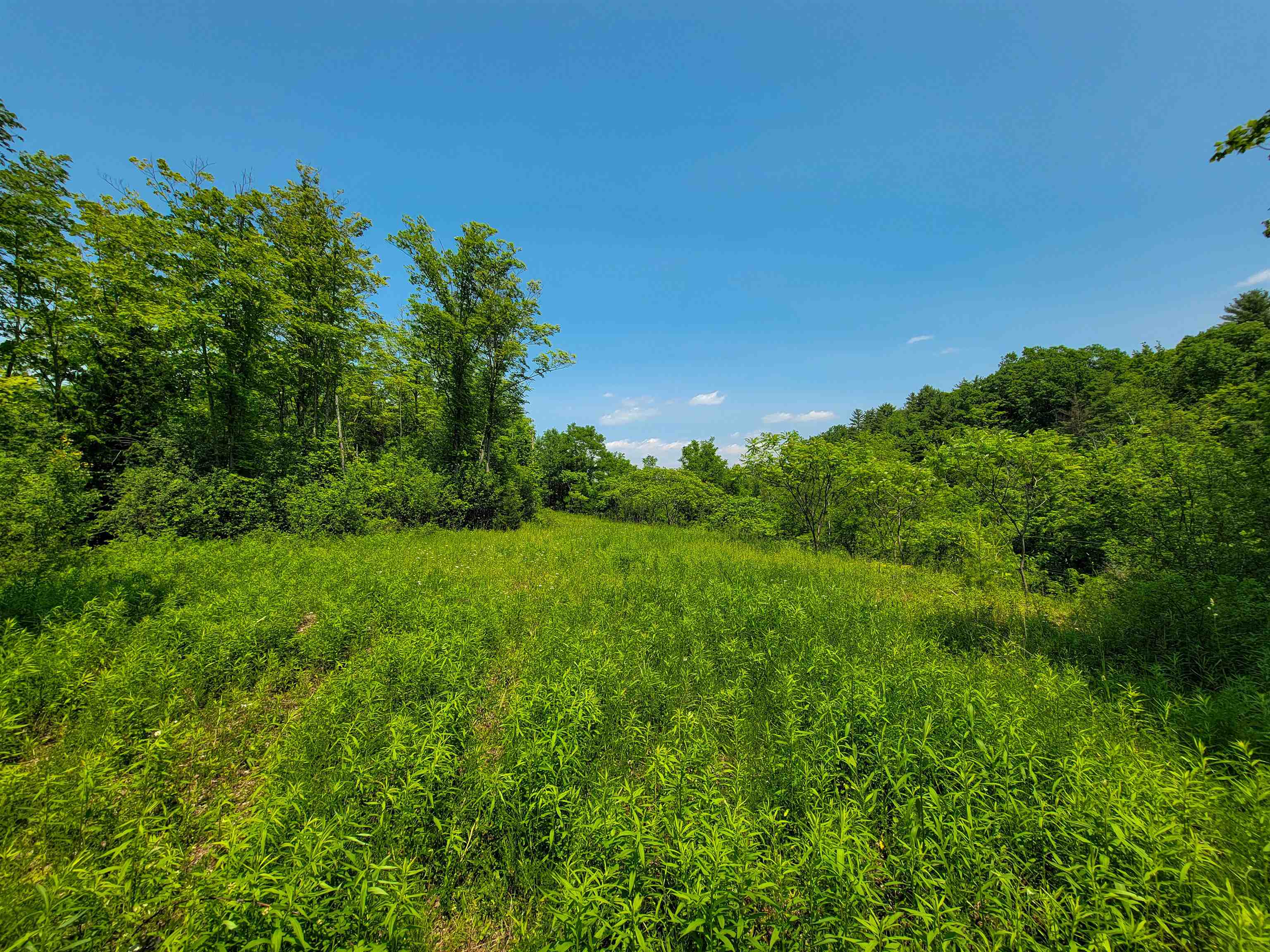 21 Nickerson Road Brandon, VT 05733 - Photo 25 of 58