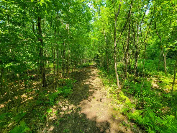 $875,000 | 21 Nickerson Road, Brandon, VT 05733