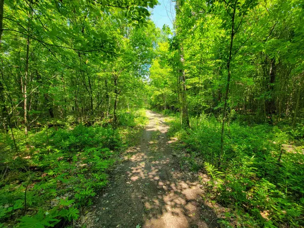 $875,000 | 21 Nickerson Road, Brandon, VT 05733