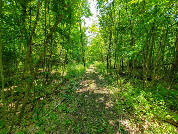 $875,000 | 21 Nickerson Road, Brandon, VT 05733