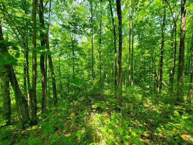 $875,000 | 21 Nickerson Road, Brandon, VT 05733