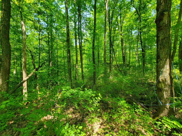 $875,000 | 21 Nickerson Road, Brandon, VT 05733