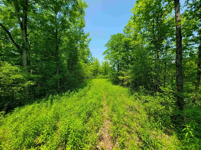 $875,000 | 21 Nickerson Road, Brandon, VT 05733