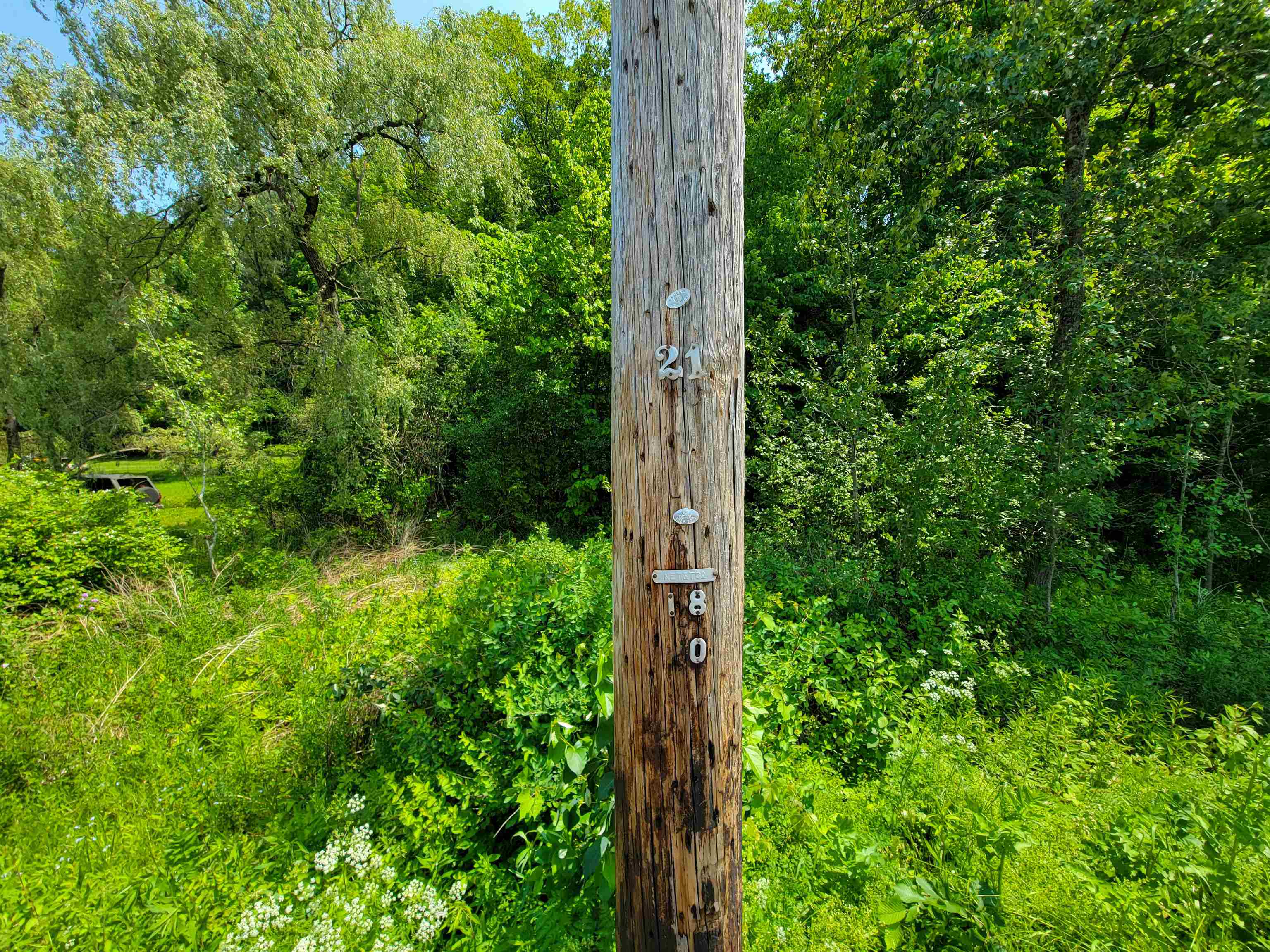21 Nickerson Road Brandon, VT 05733 - Photo 41 of 58