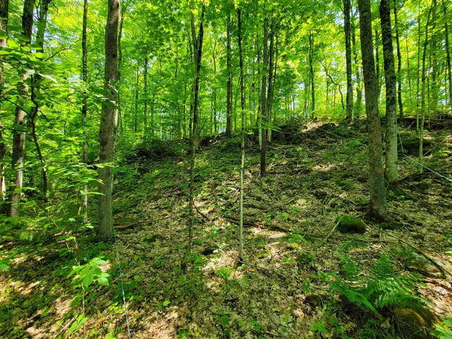 $875,000 | 21 Nickerson Road, Brandon, VT 05733