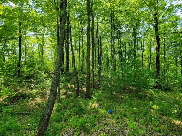 $875,000 | 21 Nickerson Road, Brandon, VT 05733