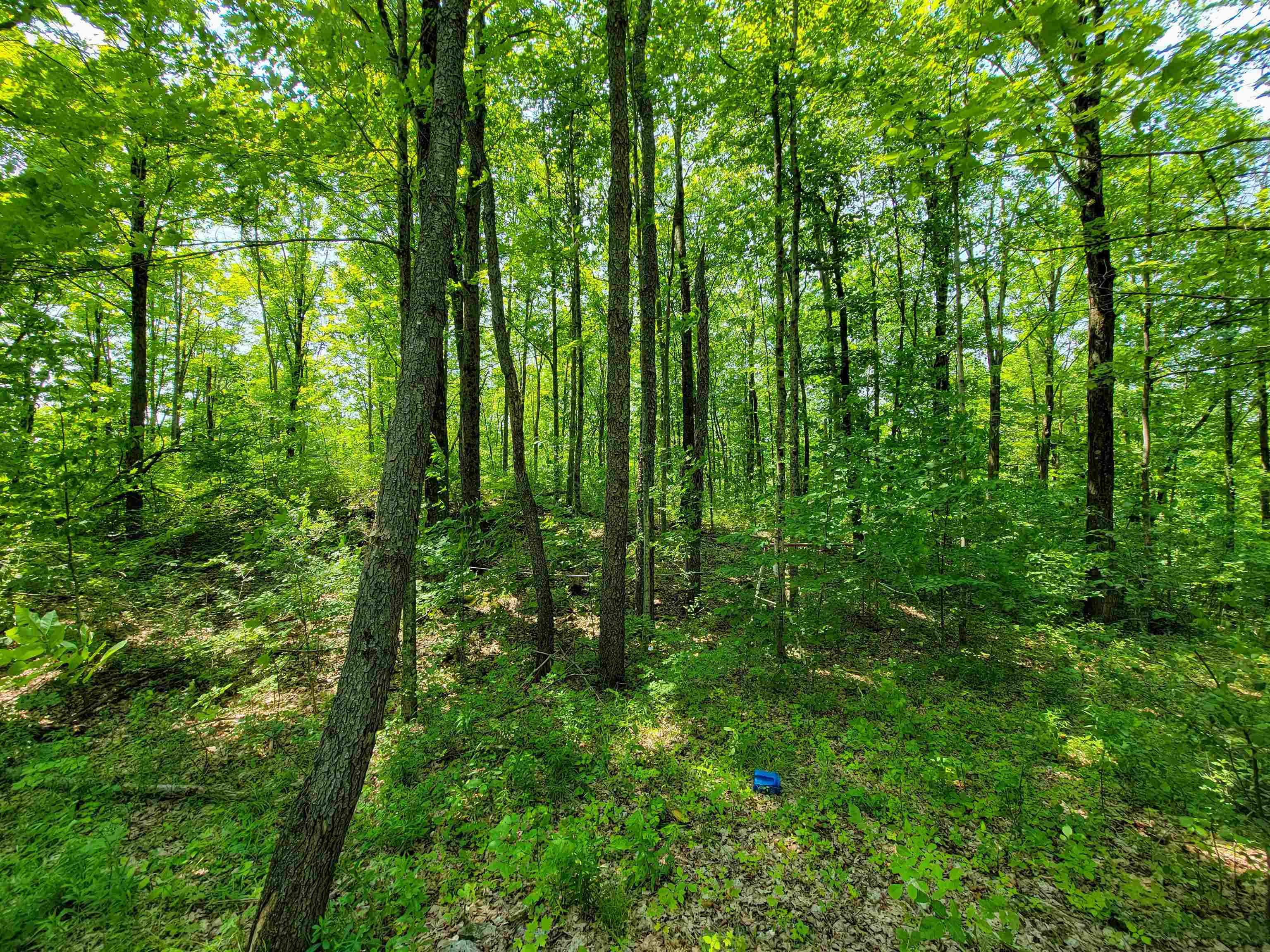 21 Nickerson Road Brandon, VT 05733 - Photo 45 of 58