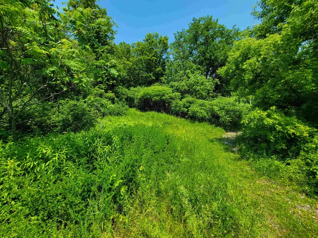 $875,000 | 21 Nickerson Road, Brandon, VT 05733