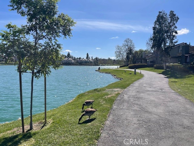 73 Fallingstar Irvine, CA 92614 - Photo 29 of 34 a view of a lake with a yard