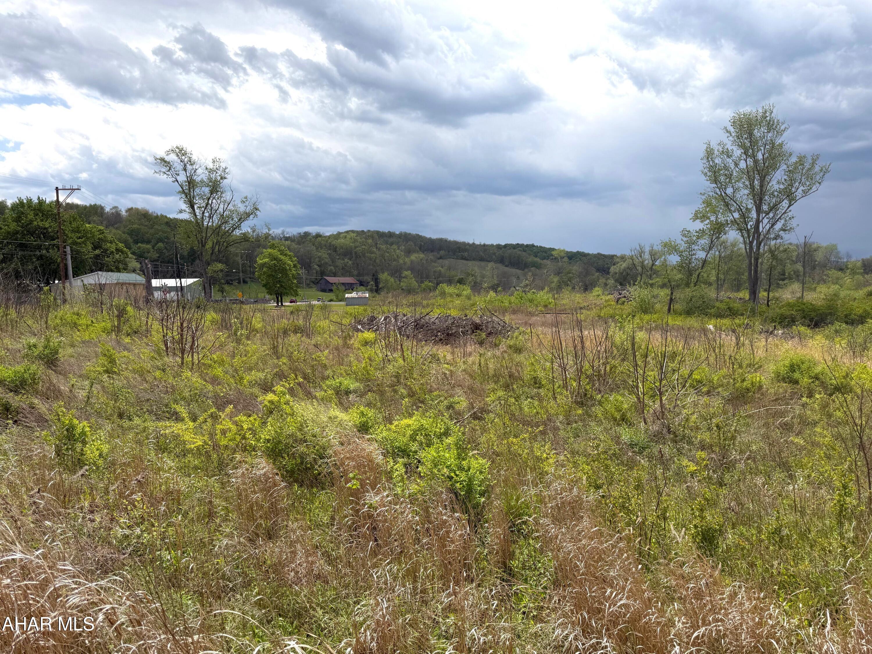 Off Quarry Road Imler, PA 16655 - Photo 9 of 14