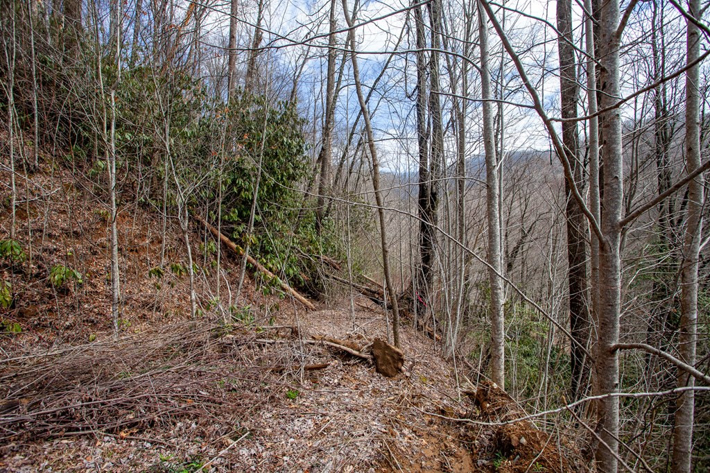 0 Little Snowbird Road Robbinsville, NC 28771 - Photo 9 of 19 Gallery Image 9