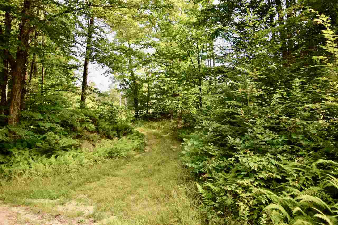 0 Fay Martin Road Richmond, NH 03470 - Photo 3 of 3