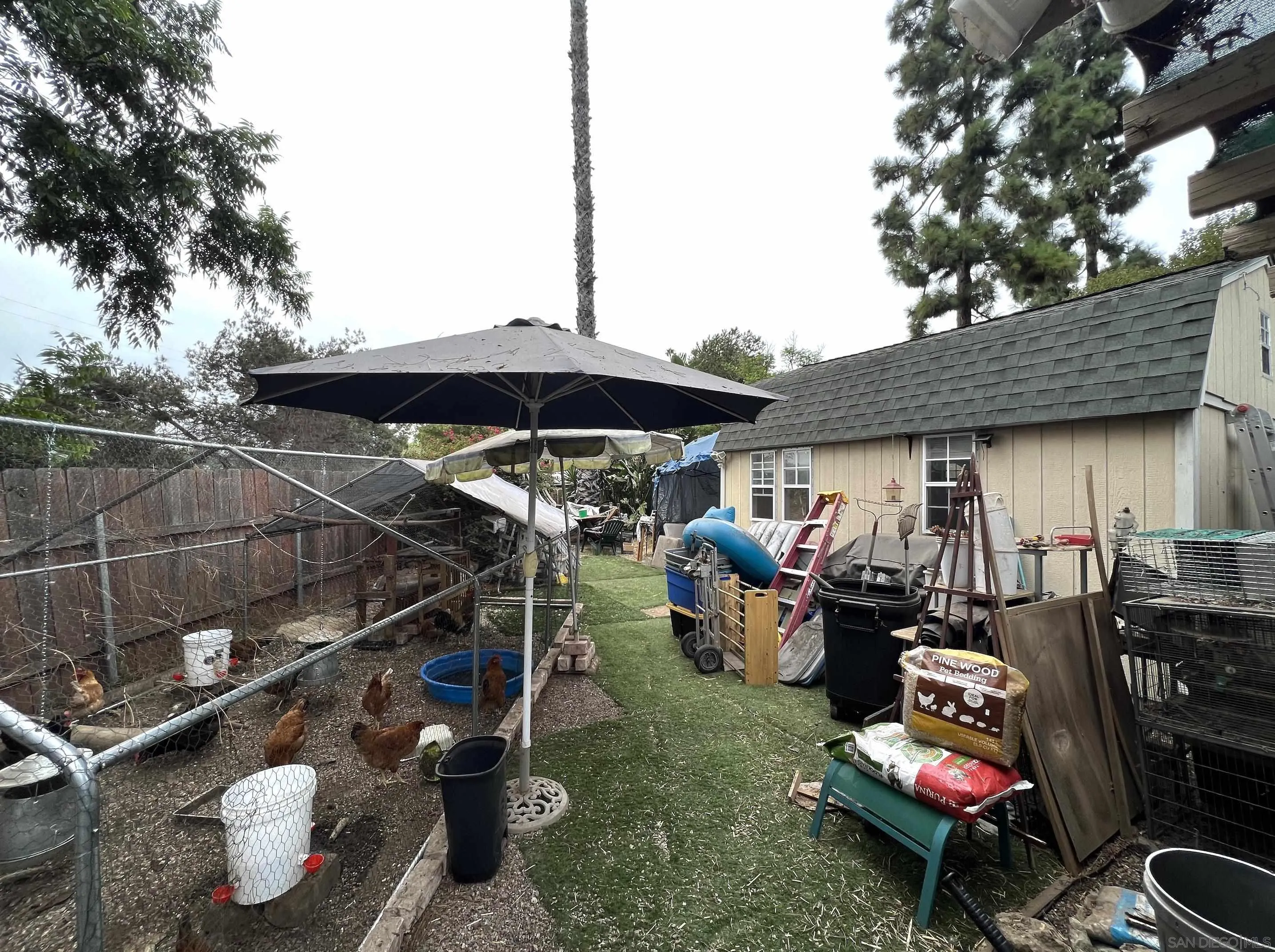 9306 Hollyhock Lane Spring Valley, CA 91977 - Photo 6 of 6 a view of outdoor space yard and patio