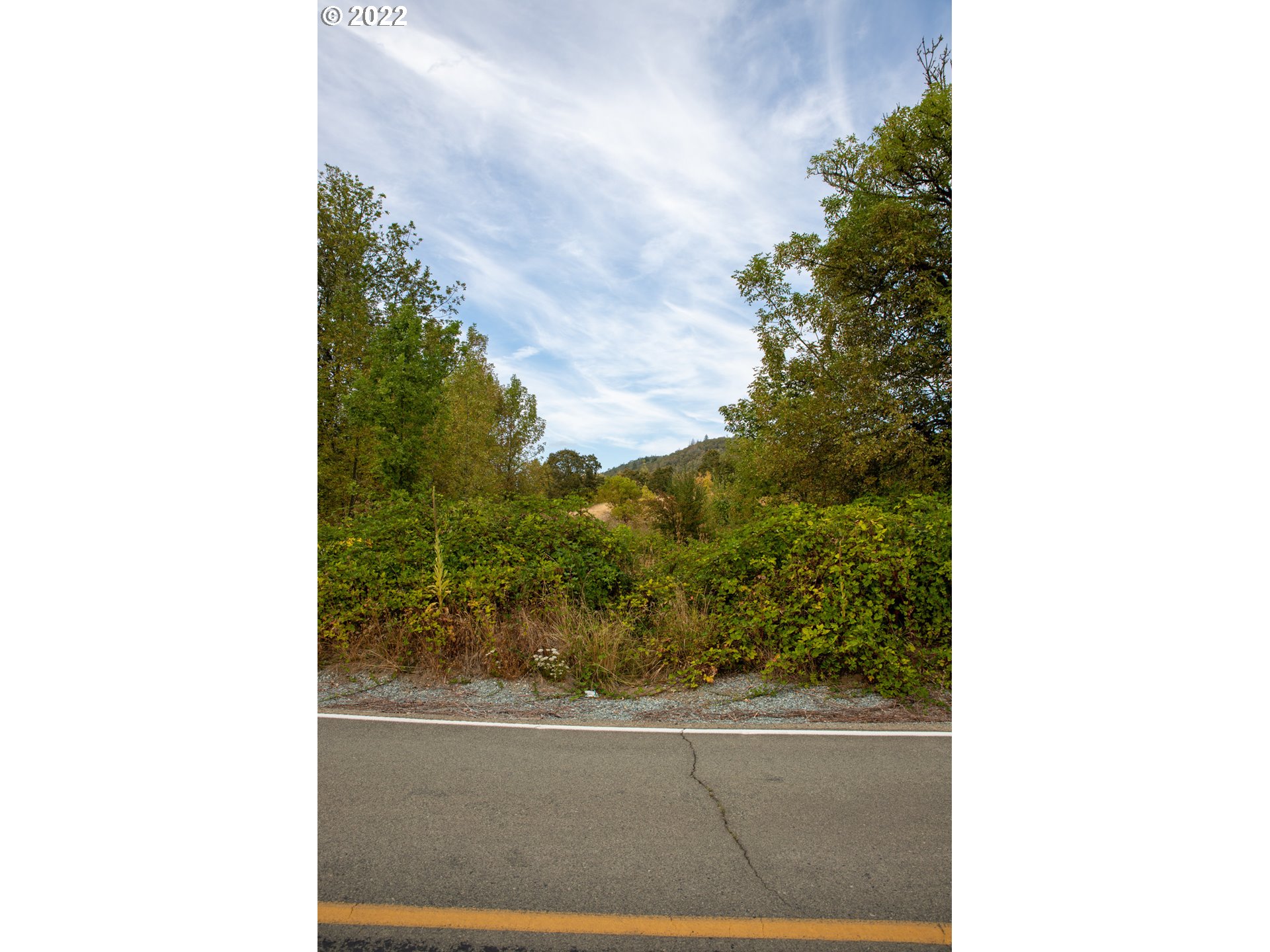 0 2nd Avenue Riddle, OR 97469 - Photo 4 of 12