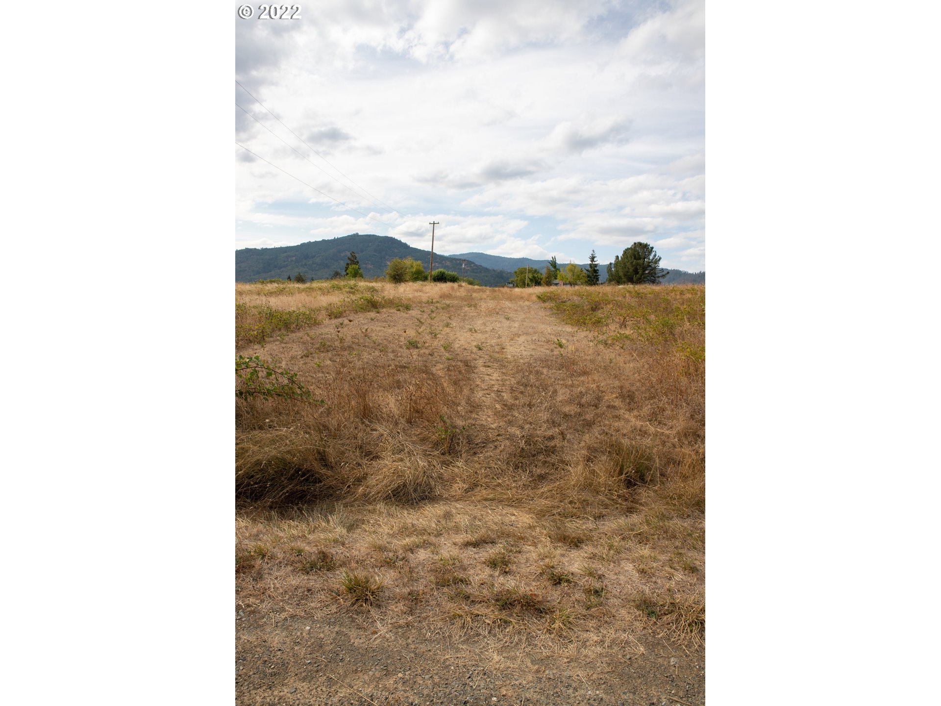 0 2nd Avenue Riddle, OR 97469 - Photo 5 of 12