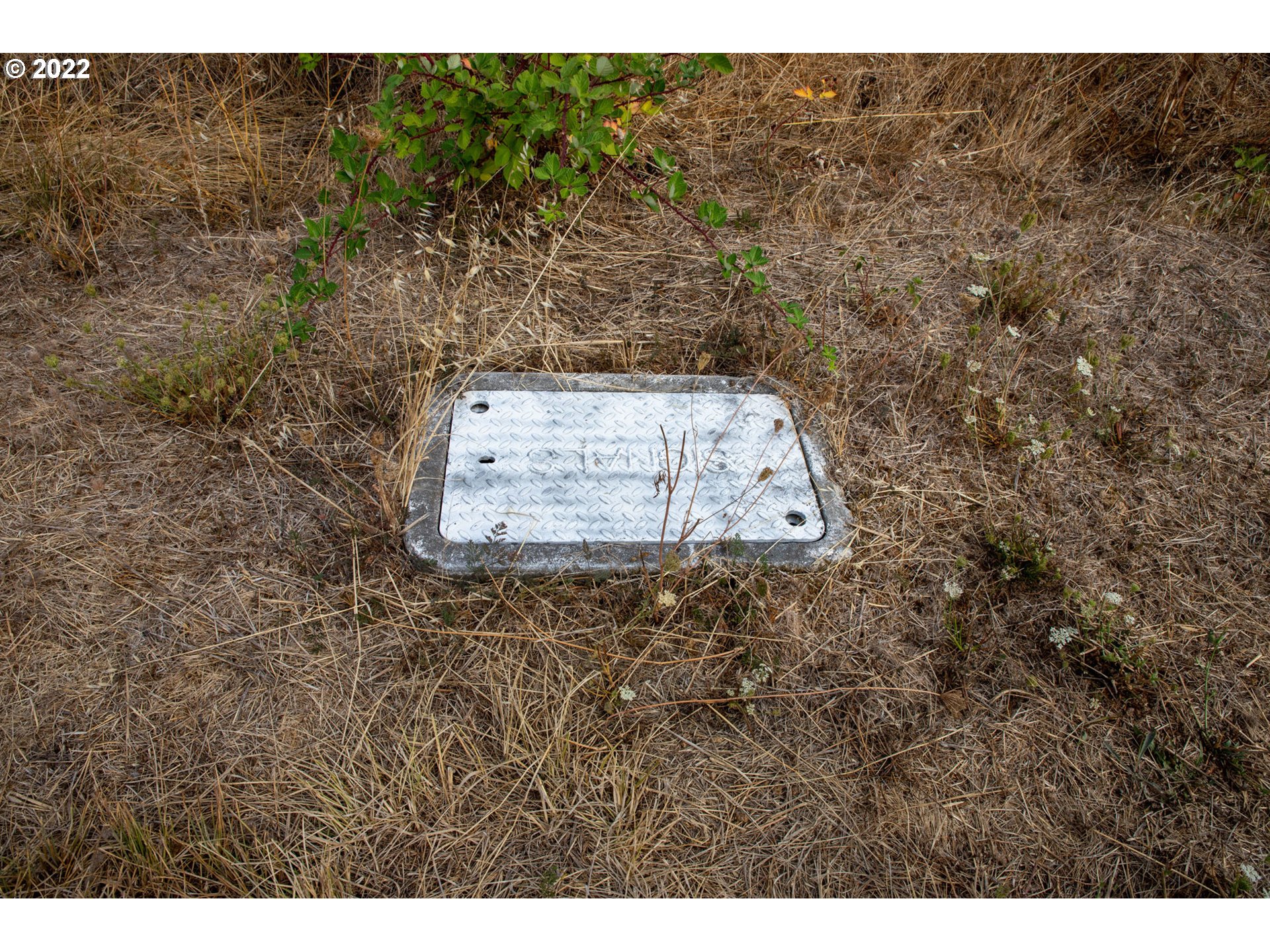 0 2nd Avenue Riddle, OR 97469 - Photo 8 of 12