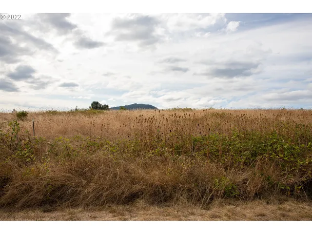 $169,900 | 0 2nd Avenue, Riddle, OR 97469