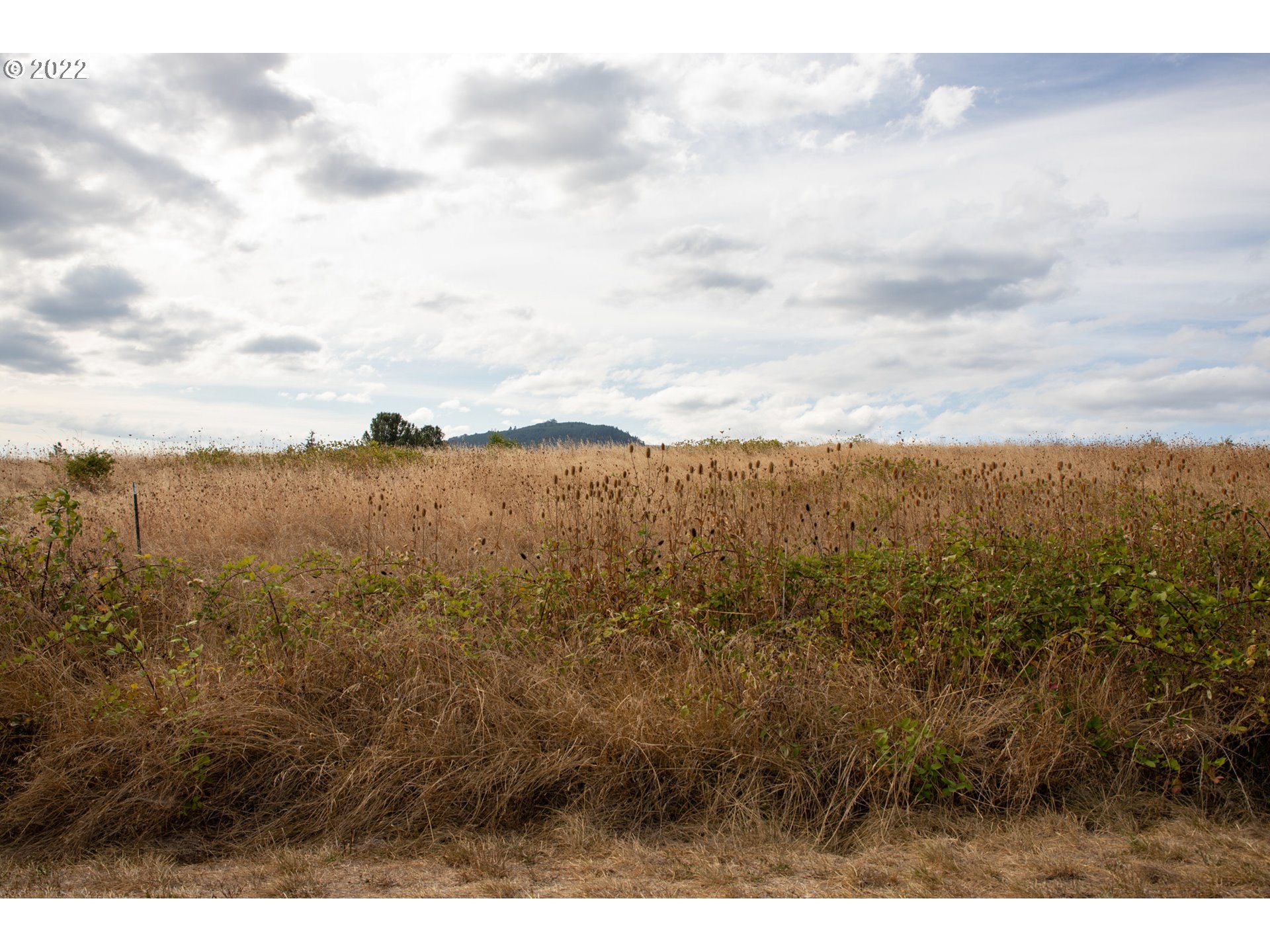 0 2nd Avenue Riddle, OR 97469 - Photo 9 of 12