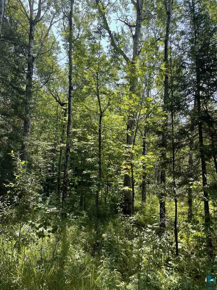 737 X Laine Road Two Harbors, MN 55616 - Photo 1 of 4 Gallery Image 1