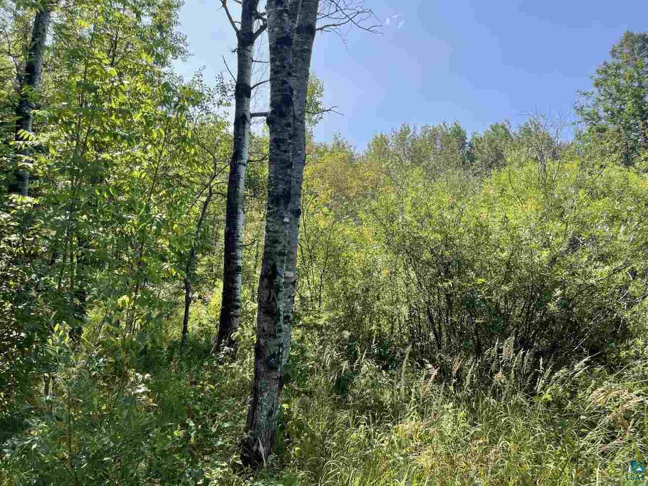 737 X Laine Road Two Harbors, MN 55616 - Photo 2 of 4 Gallery Image 2