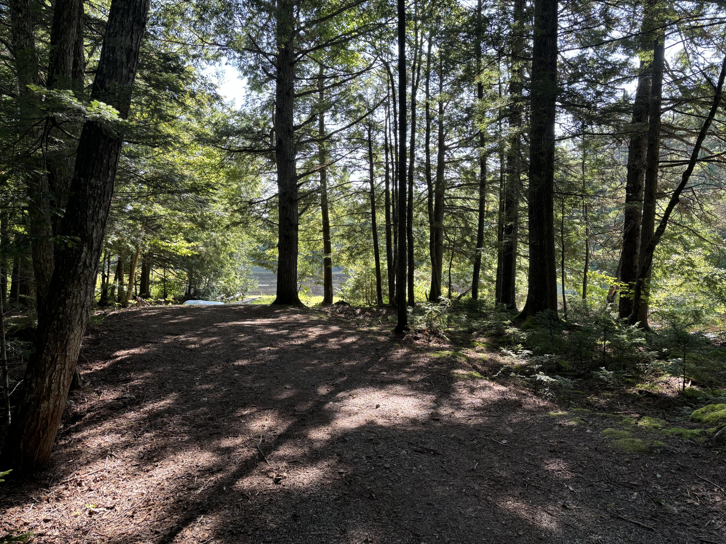 4 Tee Road Ellsworth, ME 04605 - Photo 31 of 38 Common Lot Pathway
