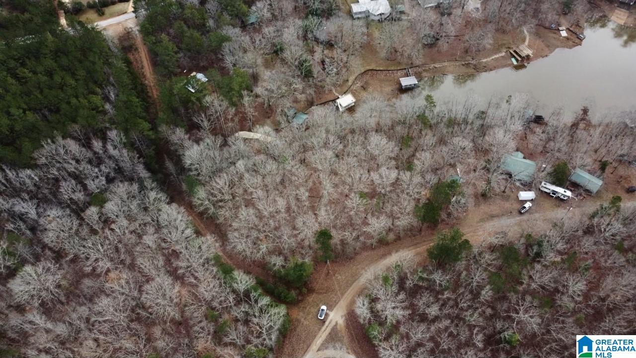 Warren Road, Unit 1 78 Wedowee, AL 36278 - Photo 5 of 6