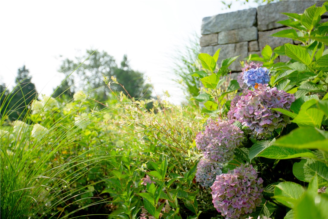 1062 Dunn Town Road Block Island, RI 02807 - Photo 11 of 46 front gardens
