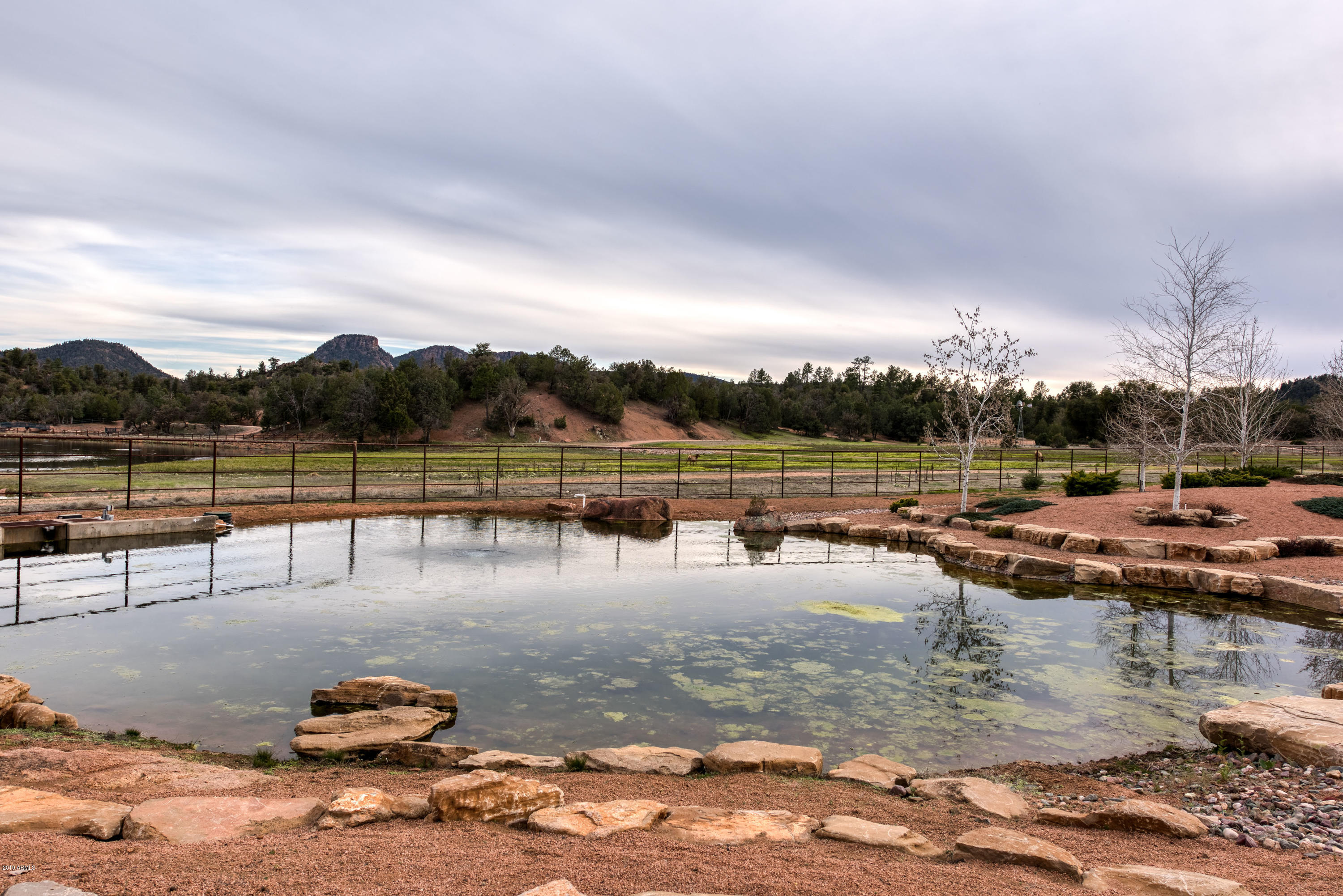 191 White Drive Payson, AZ 85541 - Photo 57 of 61 Grazing Elk