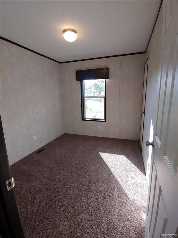 121 Haskin Street Boon, MI 49618 - Photo 11 of 13 Empty room with a decorative wall, carpet, and ornamental molding
