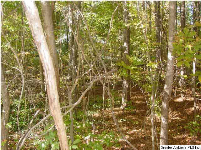Old Choccolocco Road, Unit 73 Anniston, AL 36207 - Photo 28 of 30