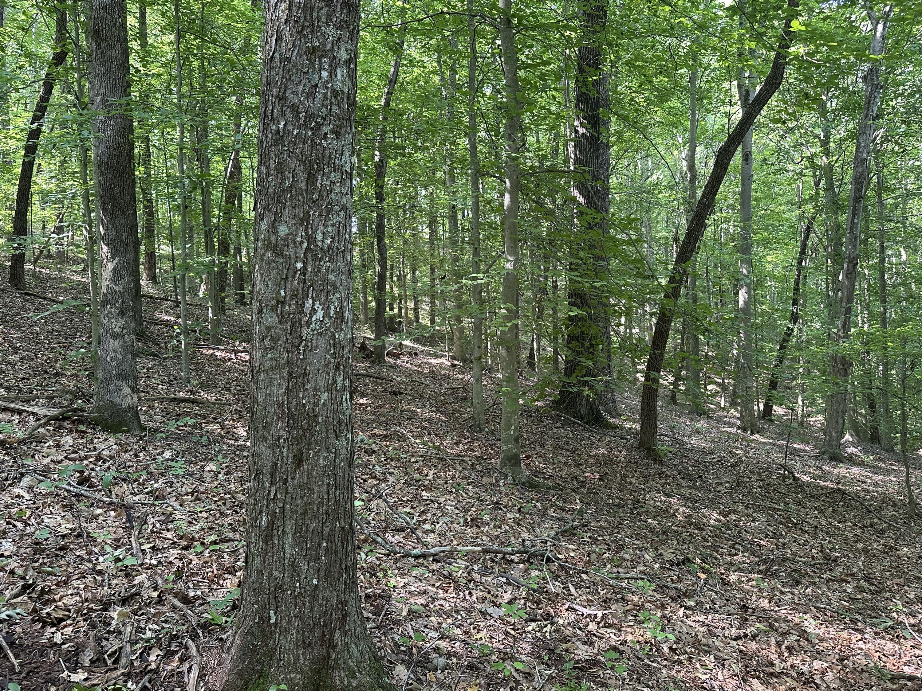 7360 Public Road Somerset, KY 42503 - Photo 71 of 75 IMG_4570