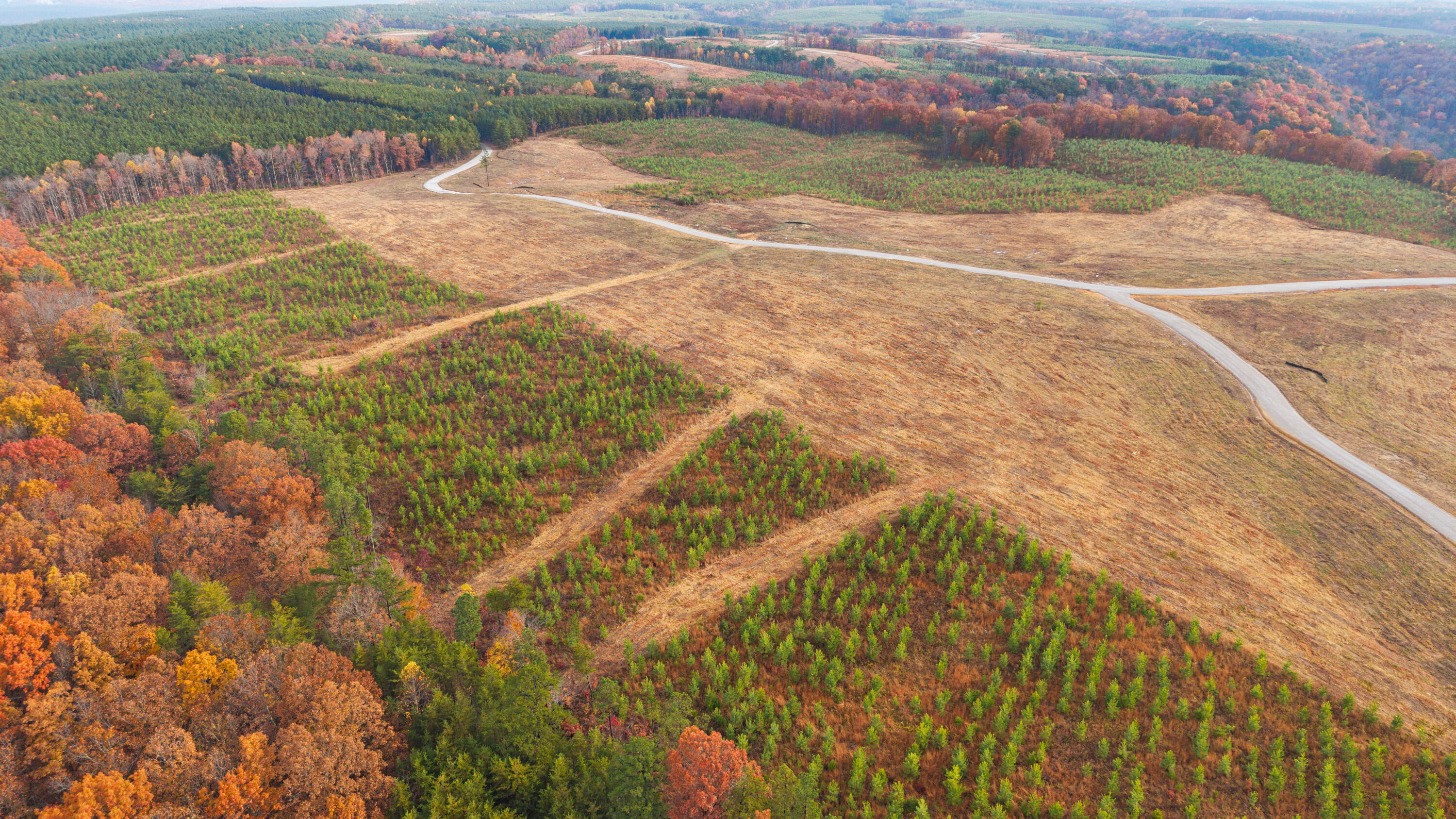 1060 Topside Road Louisville, TN 37777 - Photo 14 of 31 Aerial View Lot 92 - 4