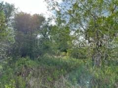 50530 Bermont Road Punta Gorda, FL 33982 - Photo 11 of 21 a view of a lush green forest