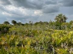 50530 Bermont Road Punta Gorda, FL 33982 - Photo 12 of 21 a view of a bunch of trees
