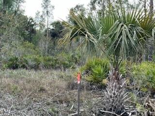 50530 Bermont Road Punta Gorda, FL 33982 - Photo 15 of 21 a view of a forest