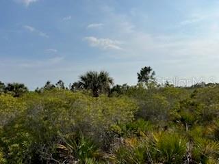 50530 Bermont Road Punta Gorda, FL 33982 - Photo 17 of 21 a view of a lake
