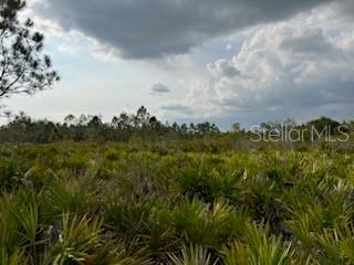 50530 Bermont Road Punta Gorda, FL 33982 - Photo 18 of 21 a view of a city