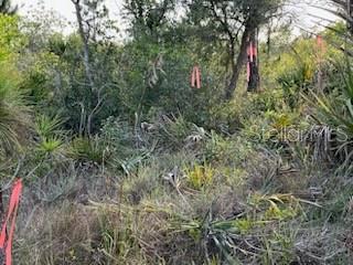 50530 Bermont Road Punta Gorda, FL 33982 - Photo 20 of 21