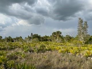 50530 Bermont Road Punta Gorda, FL 33982 - Photo 21 of 21 a view of a bunch of trees