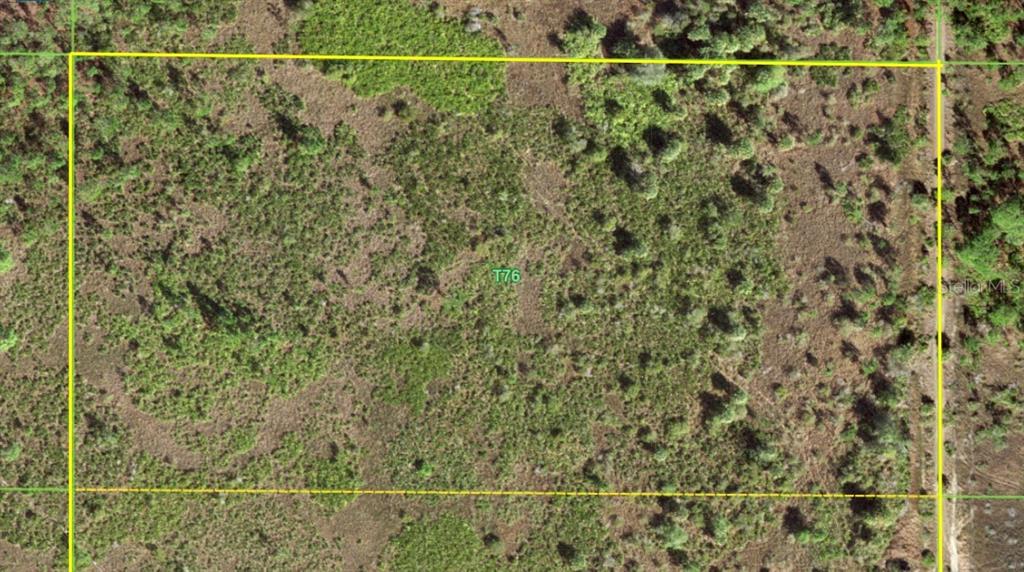 50530 Bermont Road Punta Gorda, FL 33982 - Photo 5 of 21 a view of a small yard