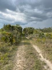 50530 Bermont Road Punta Gorda, FL 33982 - Photo 8 of 21 a view of a lake view