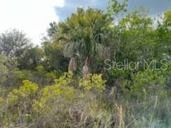 50530 Bermont Road Punta Gorda, FL 33982 - Photo 9 of 21 a view of a forest