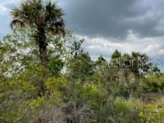 50530 Bermont Road Punta Gorda, FL 33982 - Photo 10 of 21 a view of a garden