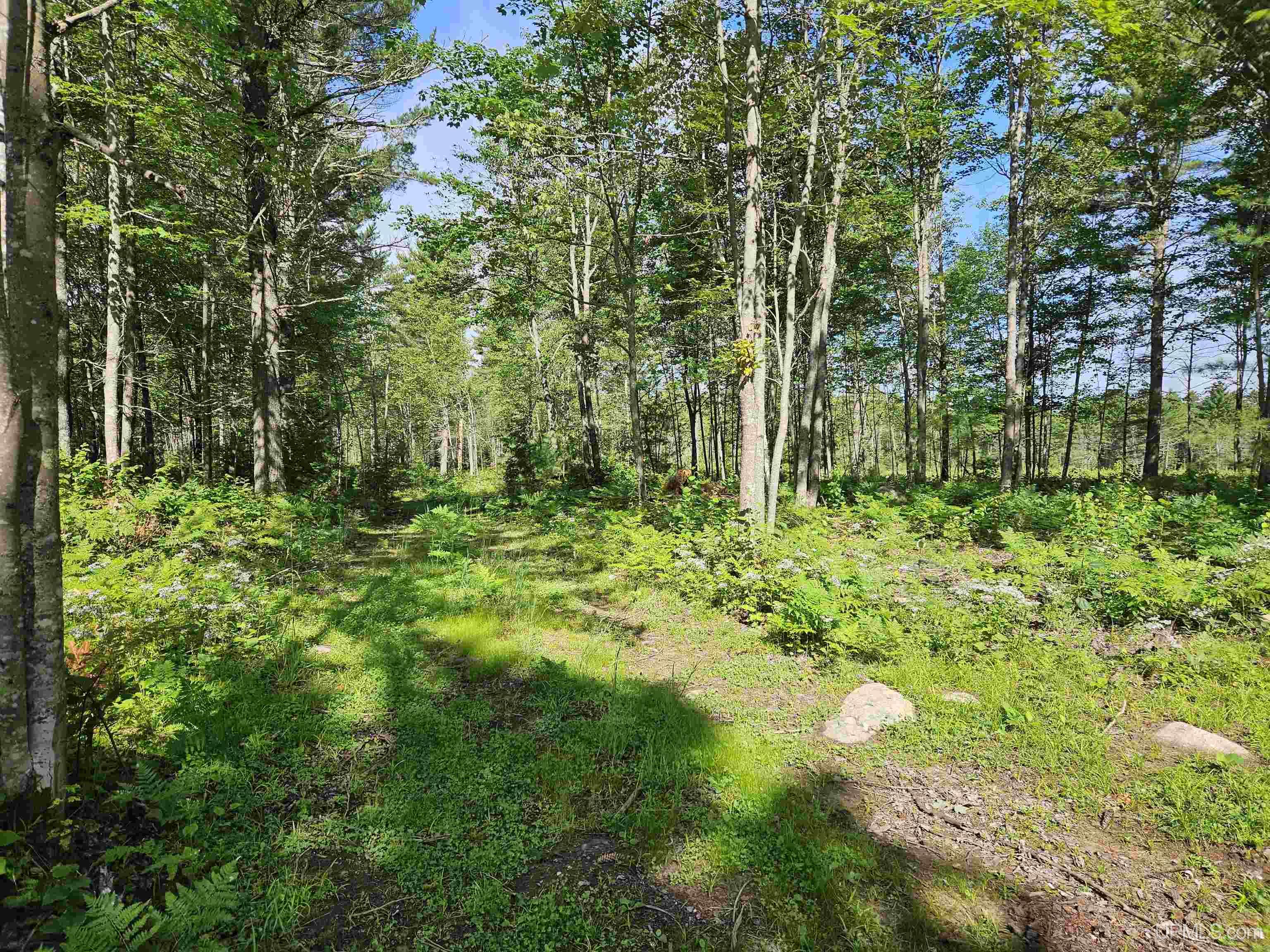 189 Oss Road Crystal Falls, MI 49920 - Photo 63 of 70 Gallery Image 63