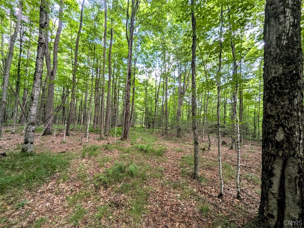 537 Maple Road West Union, NY 14877 - Photo 41 of 50