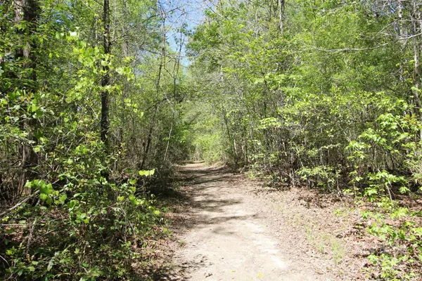 $2,046,863 | Tbd Goldenrod Drive, Carthage, NC 28327