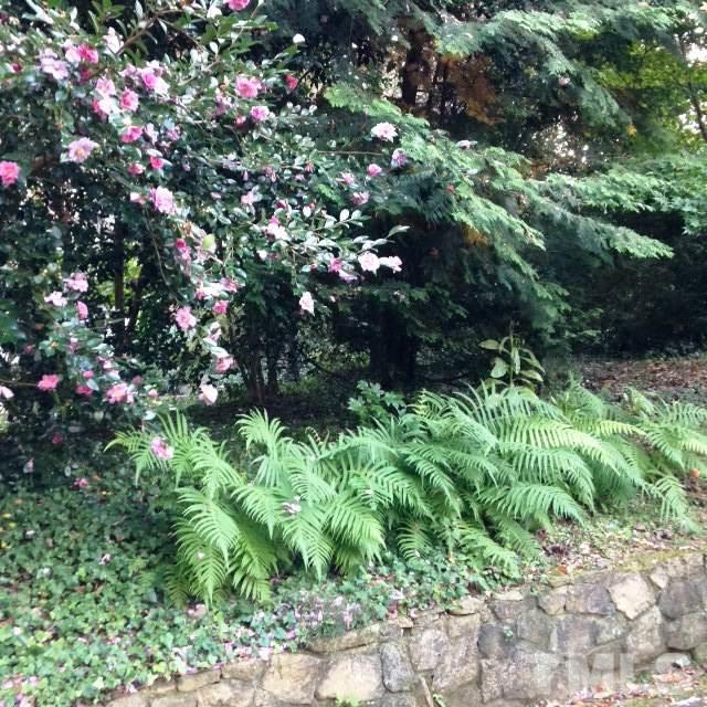 338 Tenney Circle Chapel Hill, NC 27514 - Photo 23 of 25